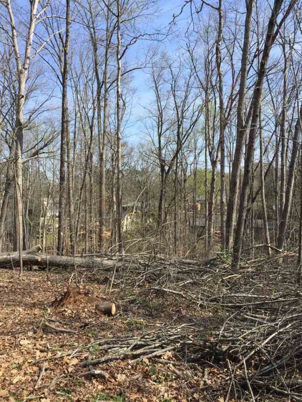 Property image 4 at 204 New Salem Drive, Anderson, SC 29625