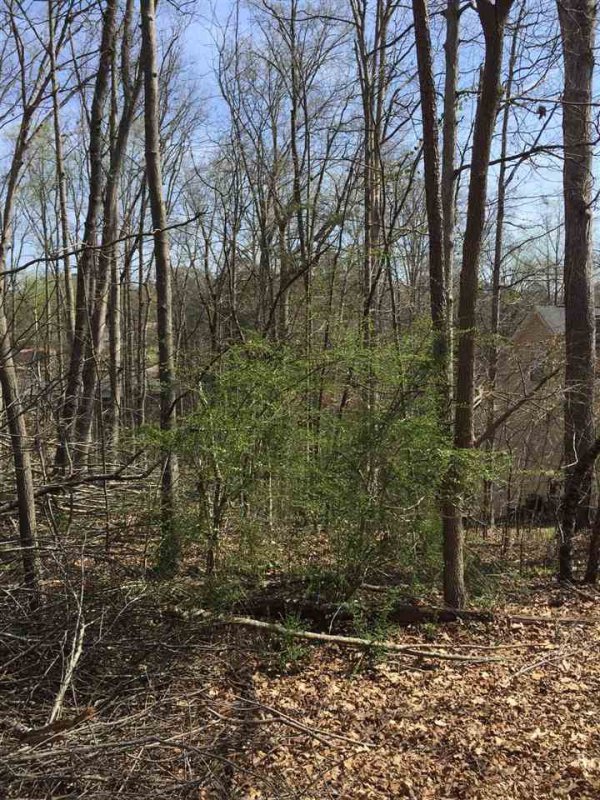 Property image 5 at 204 New Salem Drive, Anderson, SC 29625