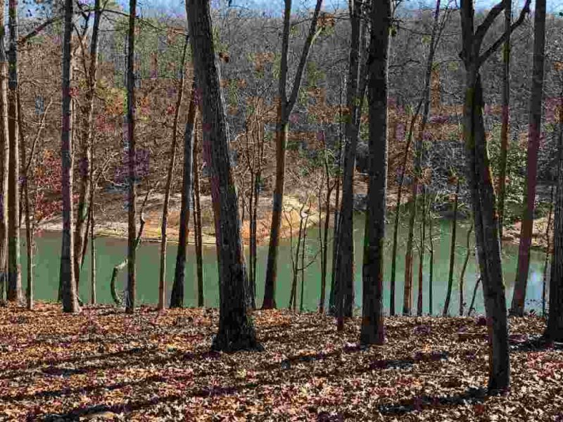 Property image 3 at 216 Bay Ridge Drive, Townville, SC 29689