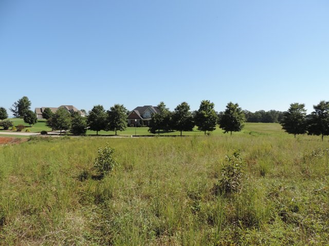 Property image 4 at Lot 2 Paramount Drive, Seneca, SC 29678