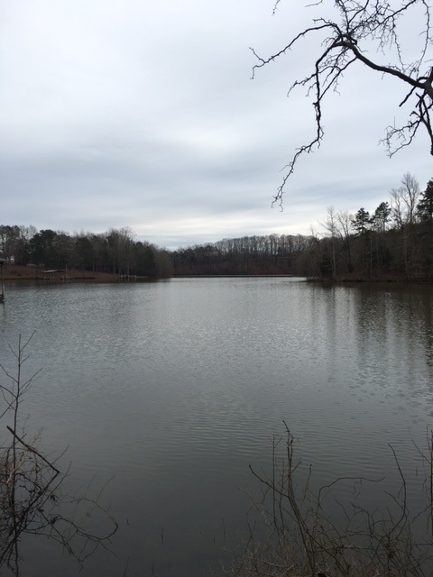 Property image 2 at 280 PENNY Lane, Townville, SC 29689