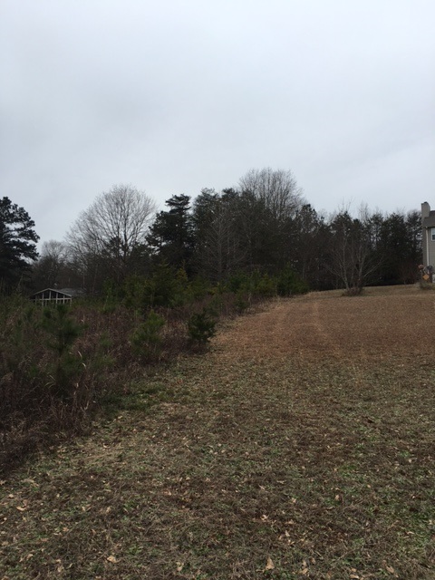 Property image 4 at 280 PENNY Lane, Townville, SC 29689