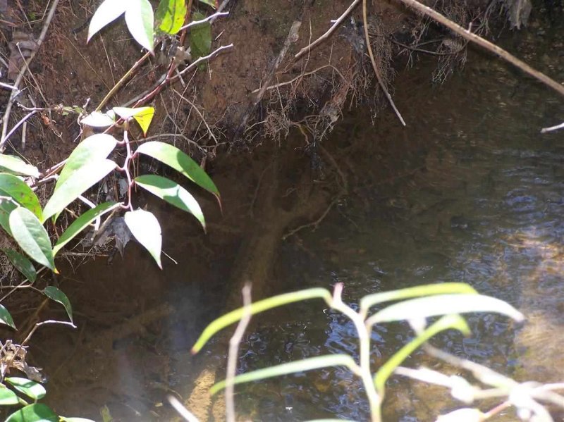 Property image 2 at Lot 002 Bonner Road, Mountain Rest, SC 29664