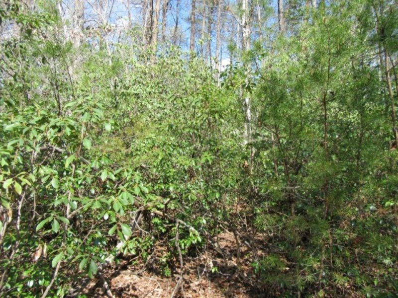 Property image 3 at 107 woodmere Court, Pickens, SC 29671