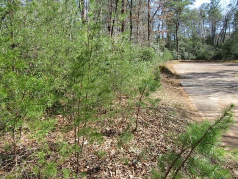 Property image 5 at 107 woodmere Court, Pickens, SC 29671