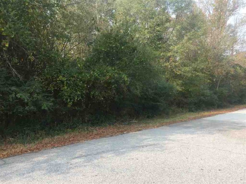 Property image 3 at 105 Roberts Drive, Anderson, SC 29621