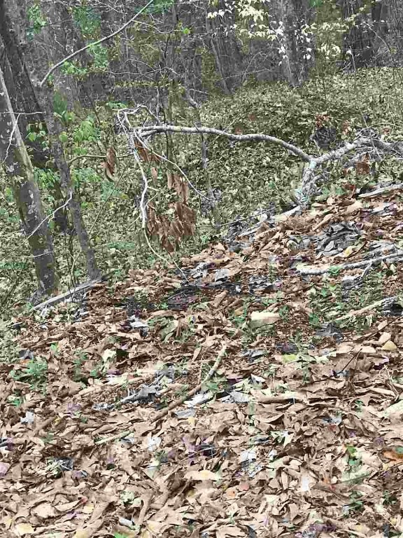 Lot 4 Saluda Road