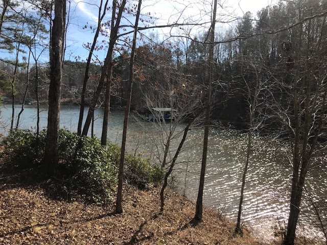 Property image 2 at Lot 10 Estates at Riverstone, Salem, SC 29676