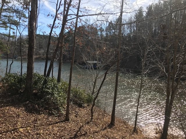 Property image 3 at Lot 10 Estates at Riverstone, Salem, SC 29676