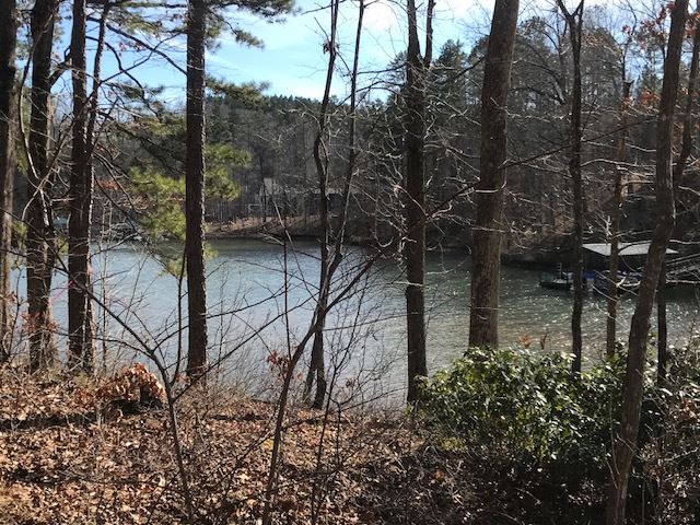 Property image 4 at Lot 10 Estates at Riverstone, Salem, SC 29676