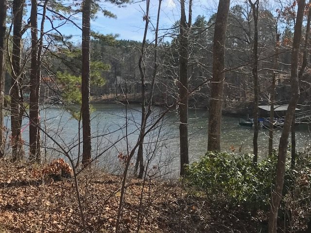 Property image 5 at Lot 10 Estates at Riverstone, Salem, SC 29676