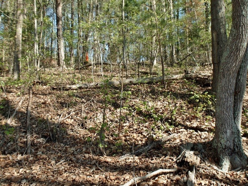 Property image 4 at 0 Hunters Trail, Anderson, SC 29625