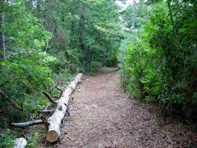 Property image 2 at 201 Singleton Drive, Townville, SC 29689