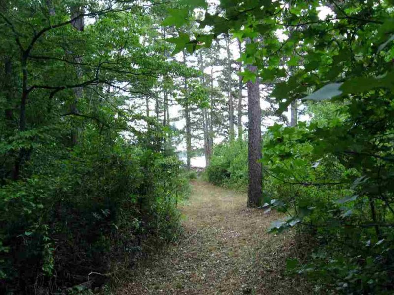 Property image 4 at 201 Singleton Drive, Townville, SC 29689