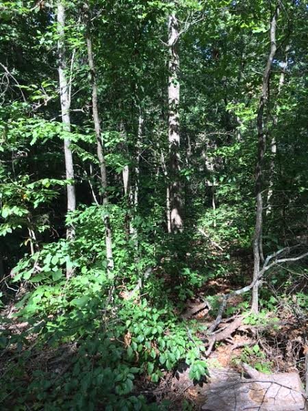 Property image 3 at 0 Harbor Drive, Anderson, SC 29625