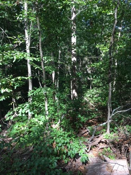 Property image 4 at 0 Harbor Drive, Anderson, SC 29625