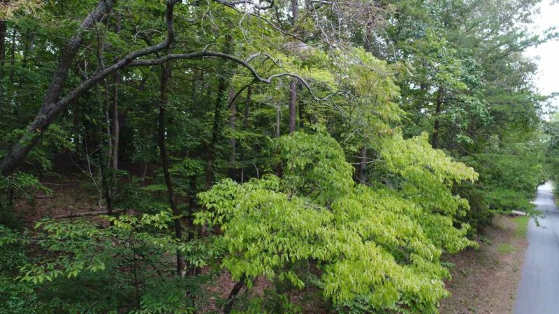 Property image 3 at 00 Fond Du Lac, Central, SC 29630