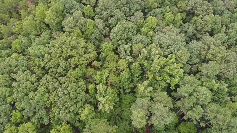 Property image 5 at 00 Fond Du Lac, Central, SC 29630