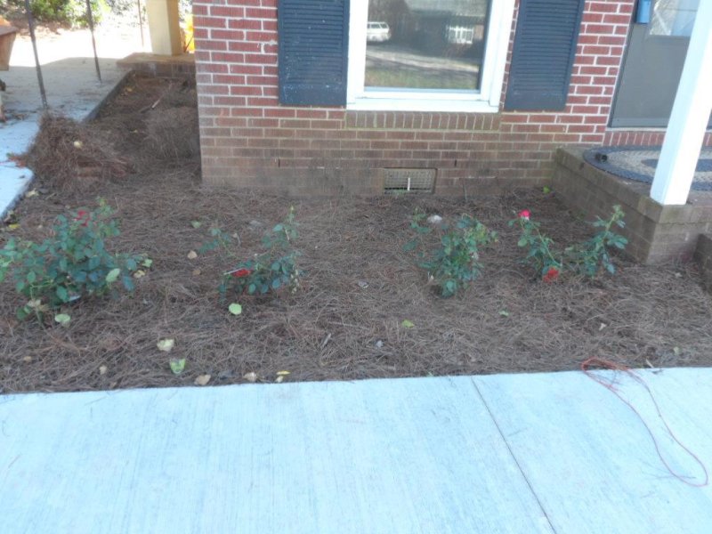 Property image 4 at 218 Thomas Heights Circle, Seneca, SC 29678