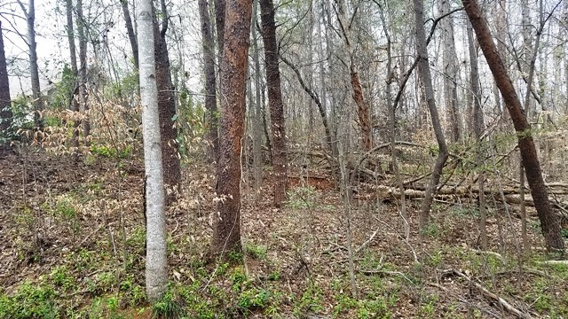 Property image 4 at Lot 139 Delphi Drive, Seneca, SC 29672