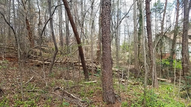 Property image 5 at Lot 139 Delphi Drive, Seneca, SC 29672