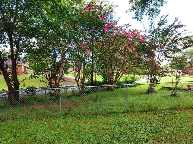 Property image 5 at 2400 Old Stone Drive, Anderson, SC 29621