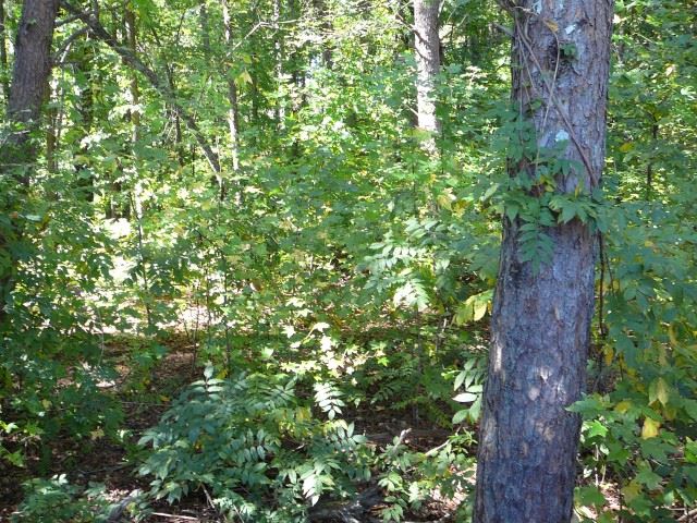 Property image 3 at Lt 142 Mount Vernon Road, Anderson, SC 29624