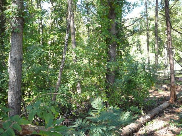 Property image 4 at Lt 142 Mount Vernon Road, Anderson, SC 29624