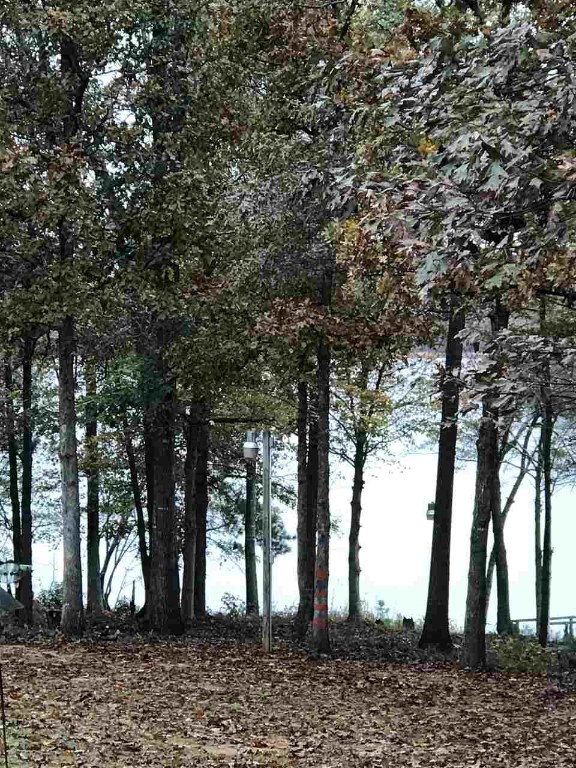 Property image 3 at 228 bay ridge Drive, Townville, SC 29689