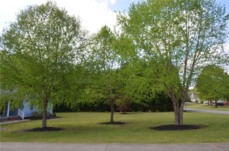 Property image 4 at 1404 Honey Creek Road, Anderson, SC 29621