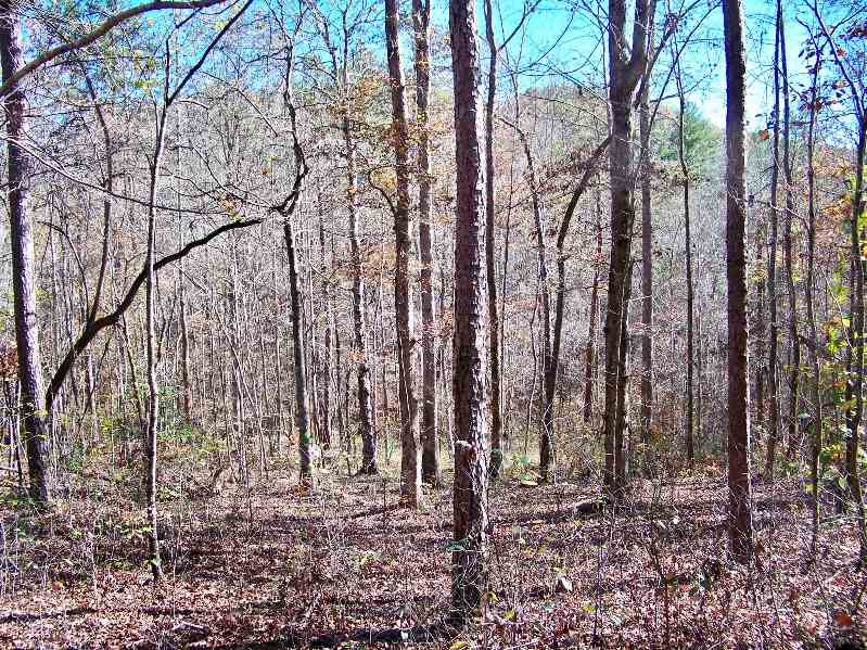 Property image 3 at 160 Julie Way, Pickens, SC 29671