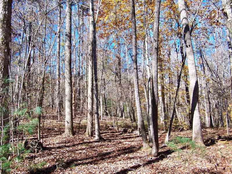 Property image 5 at 160 Julie Way, Pickens, SC 29671