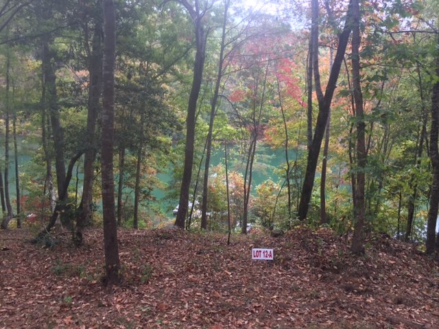 Property image 3 at Lot 12-A Estates at Riverstone, Salem, SC 29676