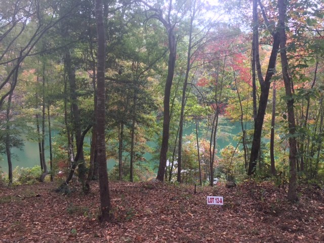 Property image 4 at Lot 12-A Estates at Riverstone, Salem, SC 29676