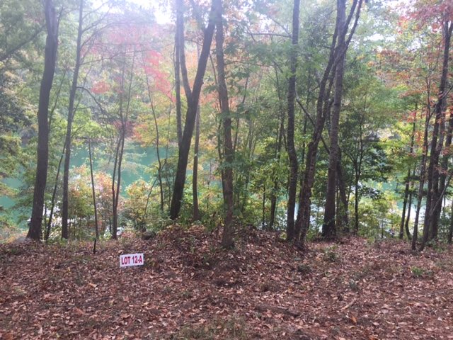 Property image 5 at Lot 12-A Estates at Riverstone, Salem, SC 29676