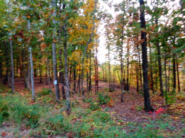 Property image 3 at 315 CLIFFSIDE Trail, Pickens, SC 29671