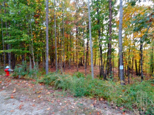 Property image 5 at 315 CLIFFSIDE Trail, Pickens, SC 29671