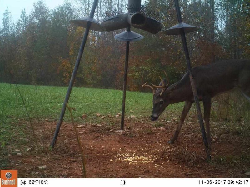 2051 MOUNTAIN CREEK CHURCH Road