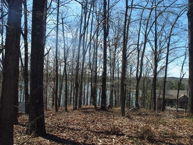 Property image 5 at Lot 27 Overlook Drive, Fair Play, SC 29643