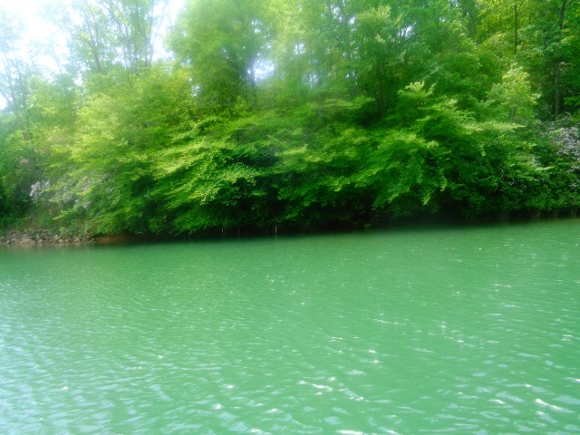 Lot 11 Sweetwater on Keowee Road