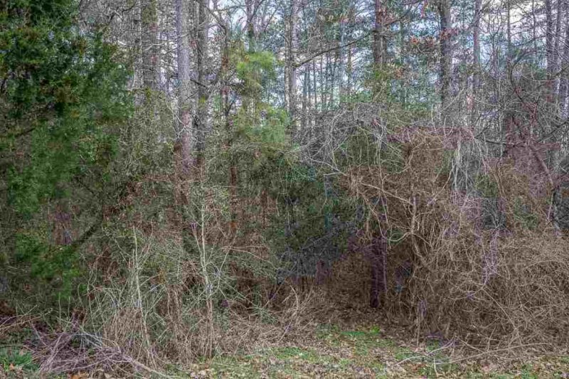 Property image 5 at 113 Barfield Drive, Easley, SC 29642