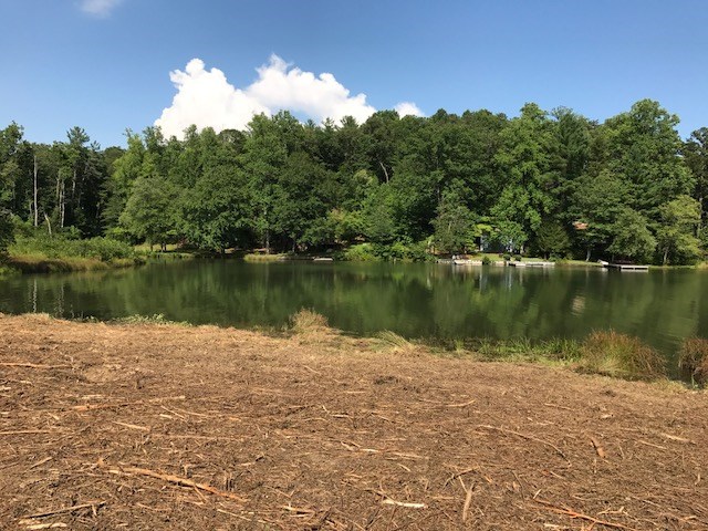 Property image 4 at TBD Jumping Branch Road, Tamassee, SC 29686