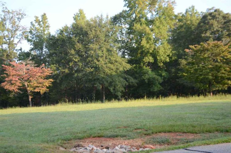 Property image 5 at Lot 103 Nautical Way, Anderson, SC 29625