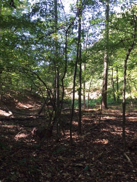 Property image 4 at 00 Alexander Road, Seneca, SC 29678