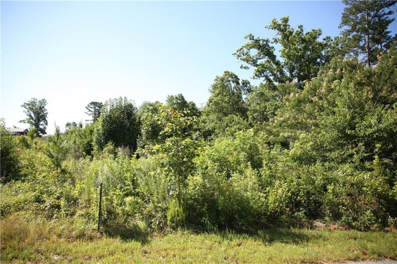 Property image 2 at Lot 23 Paramount Circle, Seneca, SC 29678