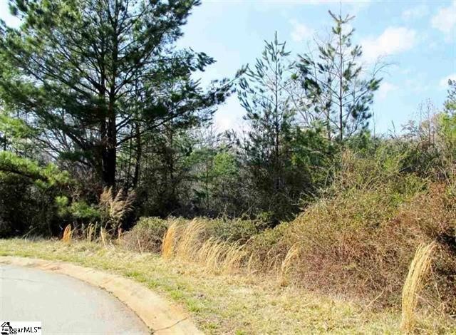 Property image 3 at 121 Hunt Cliff Court, Easley, SC 29642