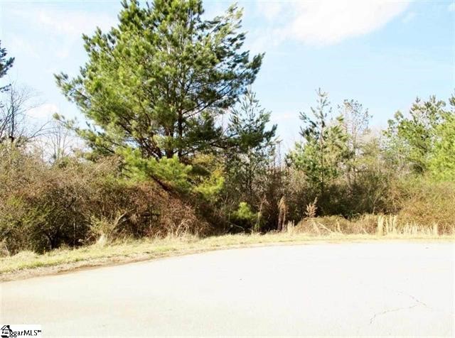 Property image 4 at 121 Hunt Cliff Court, Easley, SC 29642