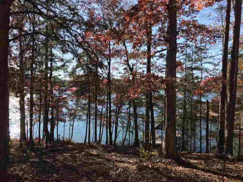 Property image 4 at 310 Bay Hill Drive, West Union, SC 29696