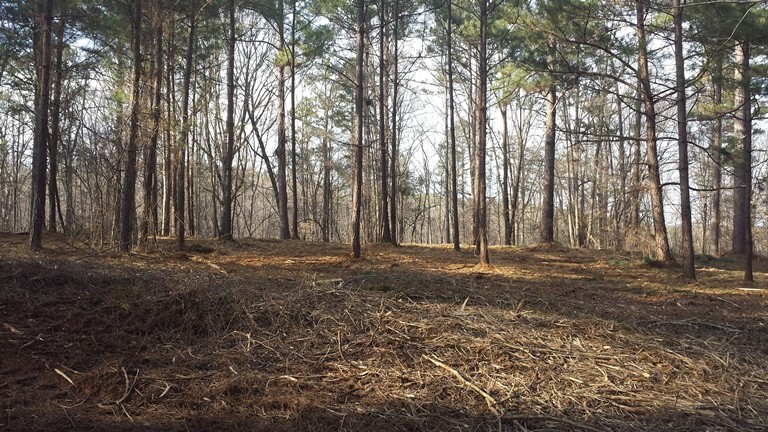 Property image 3 at 107 Pine Ridge Pointe Drive, Seneca, SC 29672