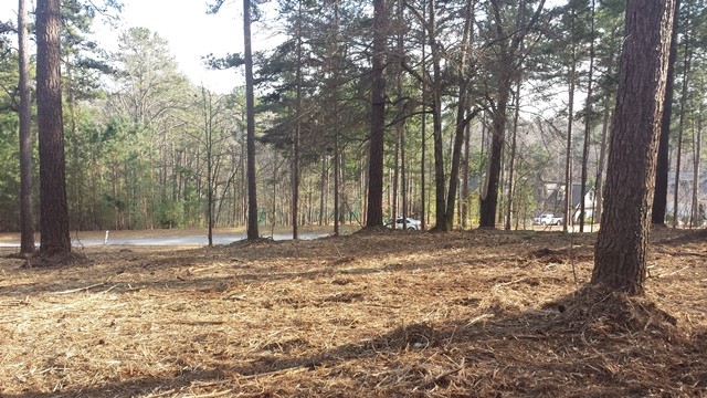 Property image 4 at 107 Pine Ridge Pointe Drive, Seneca, SC 29672